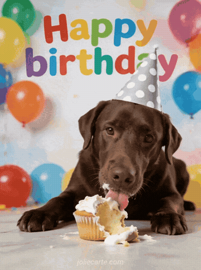 Dog In Party Hat Eating Birthday Cupcake GIF