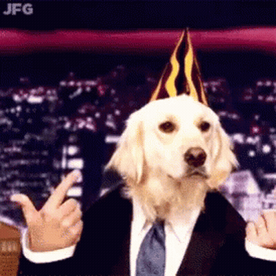 Dog In Party Hat Giving Middle Finger GIF
