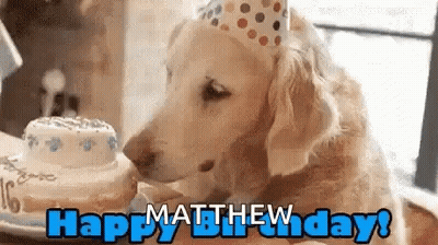 Dog In Party Hat Sniffing Birthday Cake Saying Happy Birthday GIF