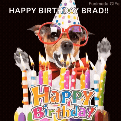 Dog In Party Hat Sunglasses And Bow Tie Celebrating Birthday With Candles GIF
