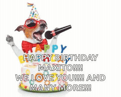 Dog In Party Hat Sunglasses Singing Into Mic GIF