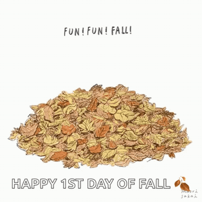 Dog In Pile Of Leaves Fun Fun Fall GIF