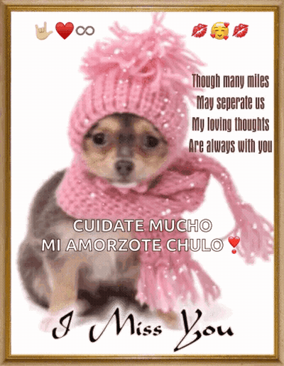 Dog In Pink Hat And Scarf Saying I Miss You GIF