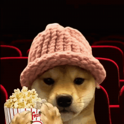 Dog In Pink Hat Holding Popcorn GIF