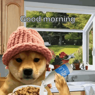 Dog In Pink Hat Pouring Milk Into Cereal GIF