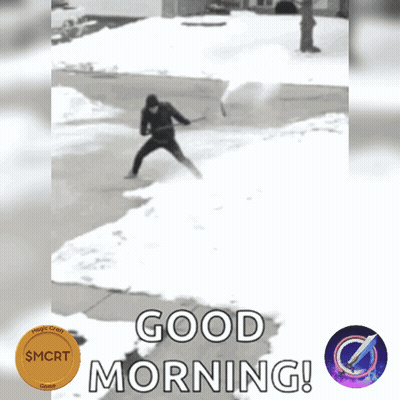 Dog In Pink Raincoat Walking In Snow GIF