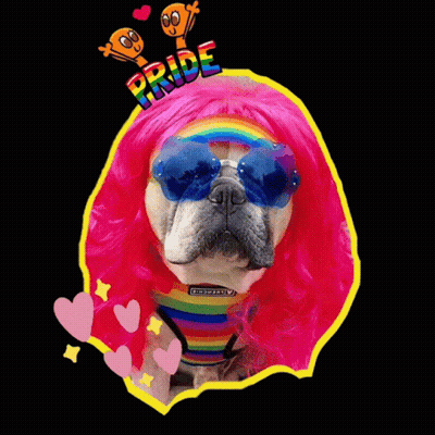 Dog In Pink Wig And Sunglasses Saying Pride GIF