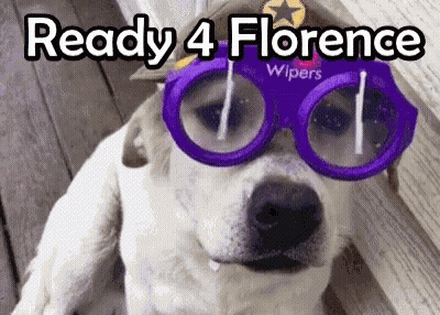 Dog In Purple Glasses And Hat Saying Ready 4 Florence GIF