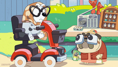 Dog In Scooter And Hat GIF