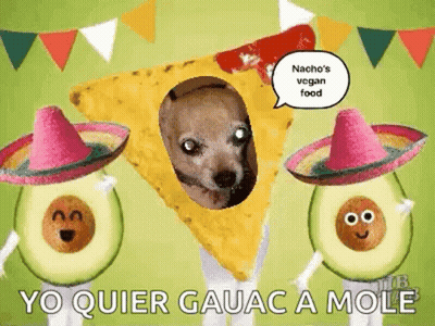 Dog in Sombrero Next to Tortilla Chip and Avocado