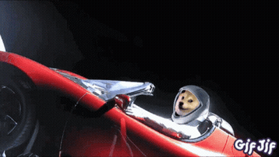 Dog In Space Suit Driving Red Car With GIF Jif GIF