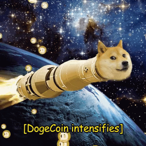 Dog In Space With Dogecoin Intensifies GIF