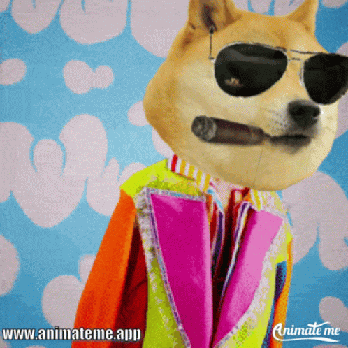 Dog In Sunglasses And Colorful Jacket With Www.animateme.app GIF