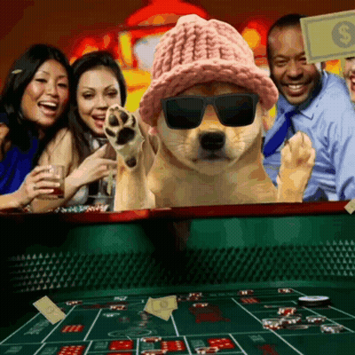 Dog In Sunglasses And Hat Playing Roulette GIF