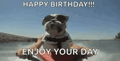 Dog In Sunglasses And Life Jacket On Jet Ski GIF