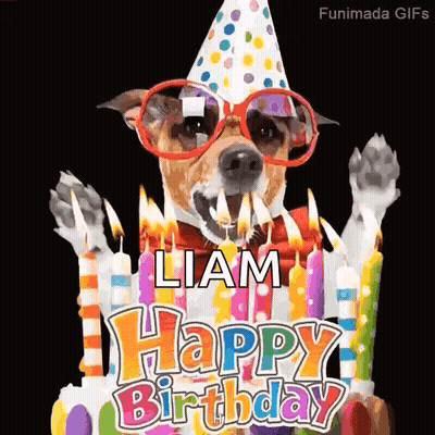 Dog In Sunglasses And Party Hat Blowing Candles GIF
