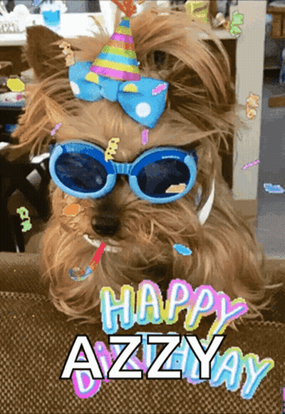Dog In Sunglasses And Party Hat Happy Azzyay GIF