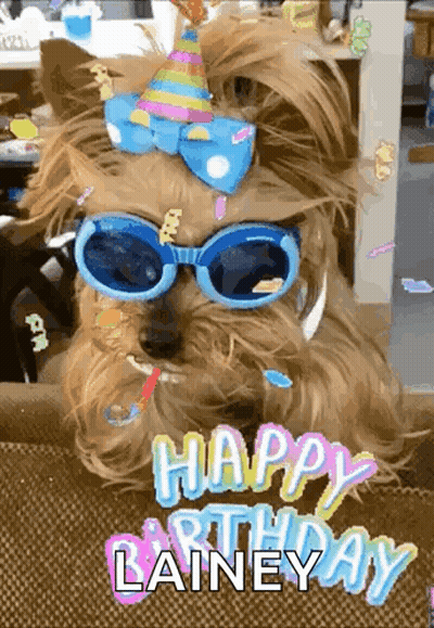 Dog In Sunglasses And Party Hat Says Happy Birthday Lainey GIF