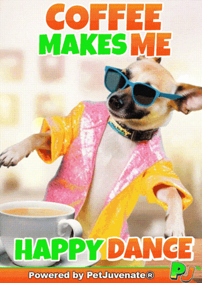 Dog In Sunglasses And Robe Saying Coffee Makes Me Happy Dance GIF