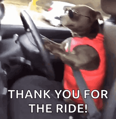 Dog In Sunglasses Driving Car Saying Thank You For The Ride GIF