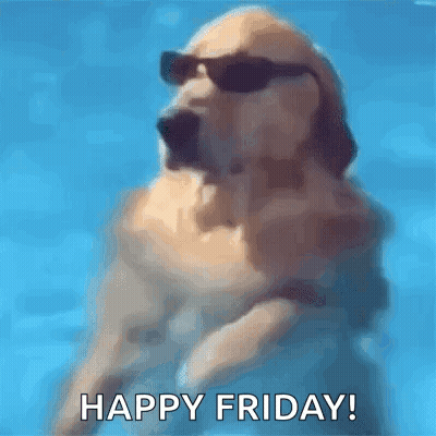 Dog In Sunglasses Jumping Out Of Pool Happy Friday GIF