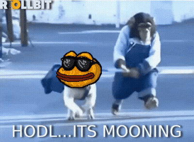 Dog In Sunglasses Pulled By Man Hodl Its Mooning GIF