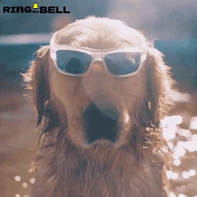 Dog In Sunglasses Ring The Bell GIF