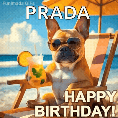 Dog In Sunglasses Wishing Prada Happy Birthday GIF