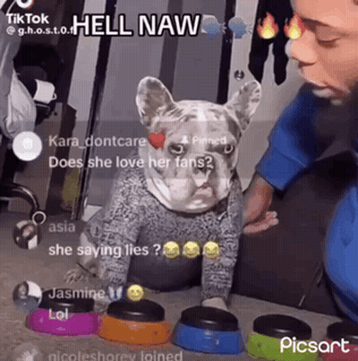 Dog In Sweater Sitting Next To Person Playing Buttons GIF