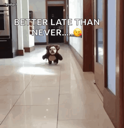 Dog In Teddy Bear Costume Running Better Late Than Never GIF