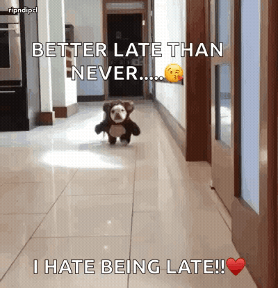 Dog In Teddy Bear Costume Running Better Late Than Never GIF