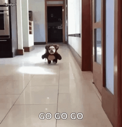 Dog In Teddy Bear Costume Running Down Hallway GIF