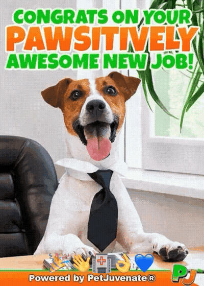 Dog In Tie Congratulations On Pawsitively Awesome New Job GIF