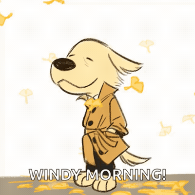 Dog In Trench Coat Windy Morning GIF