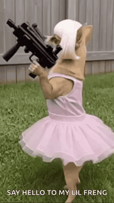 Dog In Tutu Holding Gun GIF