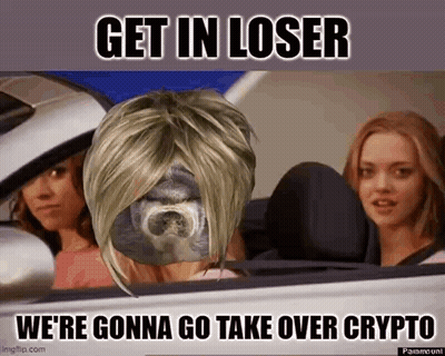 Dog In Wig Sitting In Car GIF