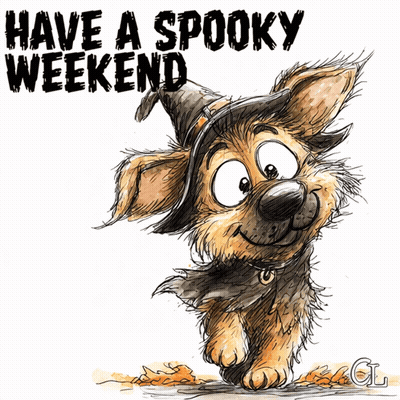 Dog In Witch Hat Have A Spooky Weekend GIF