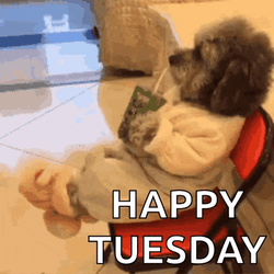 Dog Juicebox GIF