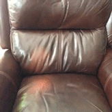 Dog Jumping Couch Cute Animal Reaction