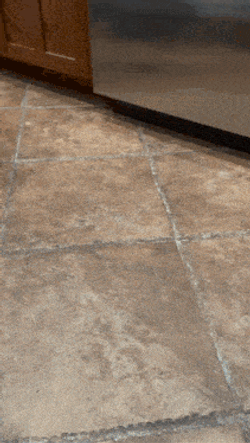 Dog Jumping Dog-Jumping GIF