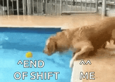 Dog Jumping Into Pool End Of Shift Me GIF