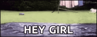 Dog Jumping Into Pool Saying Hey Girl GIF