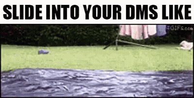 Dog Jumping Into Pool Slide Into Your DMs Like GIF