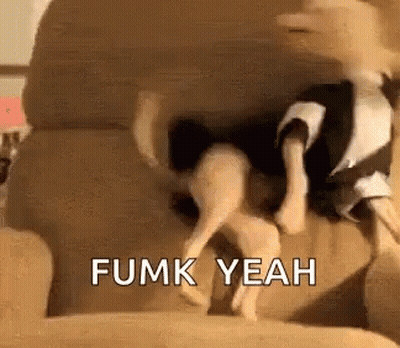 Dog Jumping On Couch Saying Fumk Yeah GIF