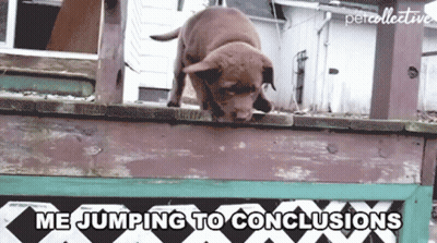 Dog Jumping Over Fence Saying Me Jumping To Conclusions GIF
