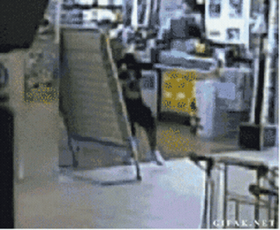 Dog Jumping Over Ladder In Store Saying GIF.net GIF