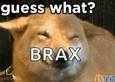 Dog Laying Down Eyes Closed Guess What Brax GIF
