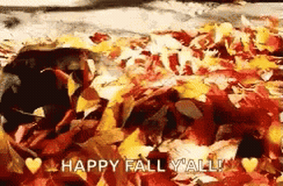 Dog Laying In Leaves Happy Fall Yall GIF