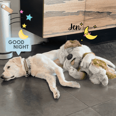 Dog Laying Next To Stuffed Animal Saying Good Night GIF