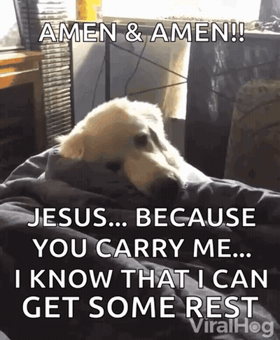 Dog Laying on Bed Amen Amen